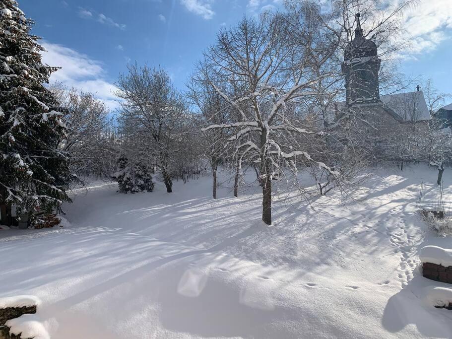 Ancienne Ferme Comtoise 4 Etoiles, 11 Personnes Lac St-Point/Mont D'Or Montperreux エクステリア 写真