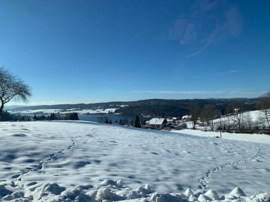Ancienne Ferme Comtoise 4 Etoiles, 11 Personnes Lac St-Point/Mont D'Or Montperreux エクステリア 写真